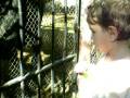 videos de Naomi Feeding the Animals...