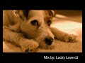 Medley BOB SINCLAIR + Ives La Rock