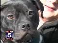 FOX 5 Vick Pit Bulls Brandon Bond Georgia SPCA Rescue
