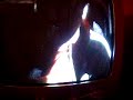 Straw Makeout/I Dont Like to Burp/Act black