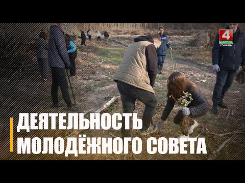 Члены молодёжного Совета приняли участие в патриотических акциях и посетили трудовые коллективы видео