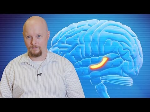 Does Consciousness Have an On/Off Switch?
