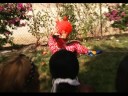official music video