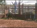 Flying S Bucking Bulls 2008 Yearlings