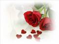Para Joca com amor.wmv