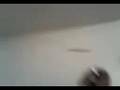 videos de mc ck e mc pxc diadema