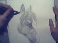 Horse a la Mirre Horse a la Mirre