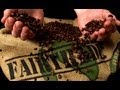 What is Fair Trade?