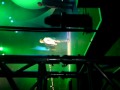 Lisa - Wise Guys Live 11.09.10 hanau