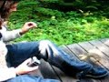 Nourrir les écureuils à 7-Iles Nourrir les écureuils à 7-Iles