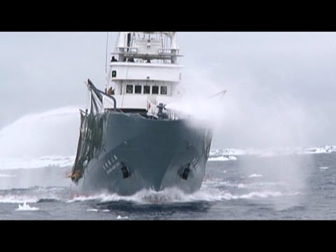 Japanese Security Vessel Shonan Maru No. 2 Deploys LRAD Against Sea Shepherd Helicopter