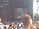 mouthwatering WILCO