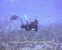 rangiroa 06 iiª parte www videosdebuceo com
