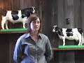 Animal Sciences Alumnus Elizabeth Carney, DVM