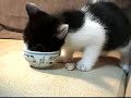 See Video