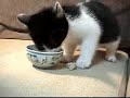 See Video