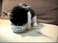 See Video