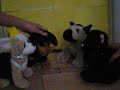 The Webkinz Adventures 1: The Mummy Mystery