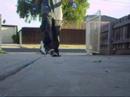 ACW practice video