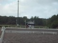 Dressyrtävling Susedalen 5/9-09, div.2 omg 2