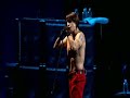 RHCP - Don't forget me