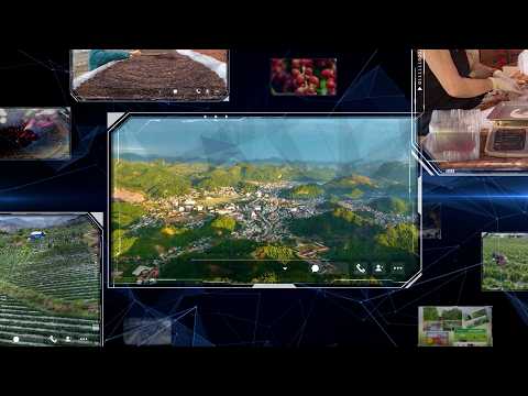 Nông sản vùng cao vươn xa trên nền tảng số, nâng cao năng lực cạnh tranh
