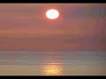 Why second law of thermodynamics does not prohibit evolution