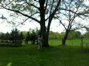 The Rope Swing and the Post- J.S.