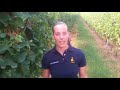 Anna Cavallaro - Volteggio - Ponyadi 2017