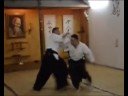 Gajuki aikido taijutsu Nihan D.Betances Kaisho