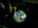 Total Savadge going through a bin