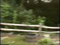 videos de Dog_Vomit_Fungus.wmv