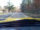 2004 cobra