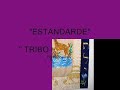 TRIBO DE NAFTALI II