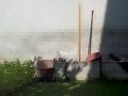orto di mio nonno