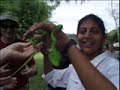 Jungle Medicine Course Jungle Medicine Course