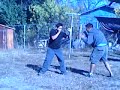 mi pelea mi pelea