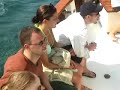 Mi Dushi Aruba Sailing and Snorkel