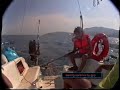 sailing-sardinia.html