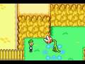 Mario & Luigi Superstar Saga Boss Series (14)
