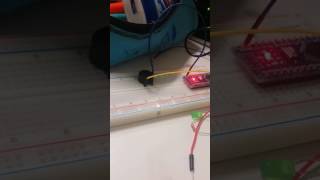 Alle meine Entchen porgrammieren?!