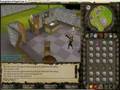 Pro RuneCrafting. 5k Nature Runes An Hour!