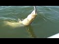 Fiskeri p� Bagsv�rd s�