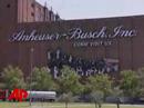 InBev Buyout Sours Mood in St. Louis