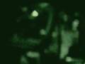 primitus-victor [NCIS]