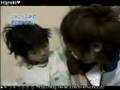 videos de 龜梨和也 & 赤西仁早上突襲Ya-Ya-yah的房間