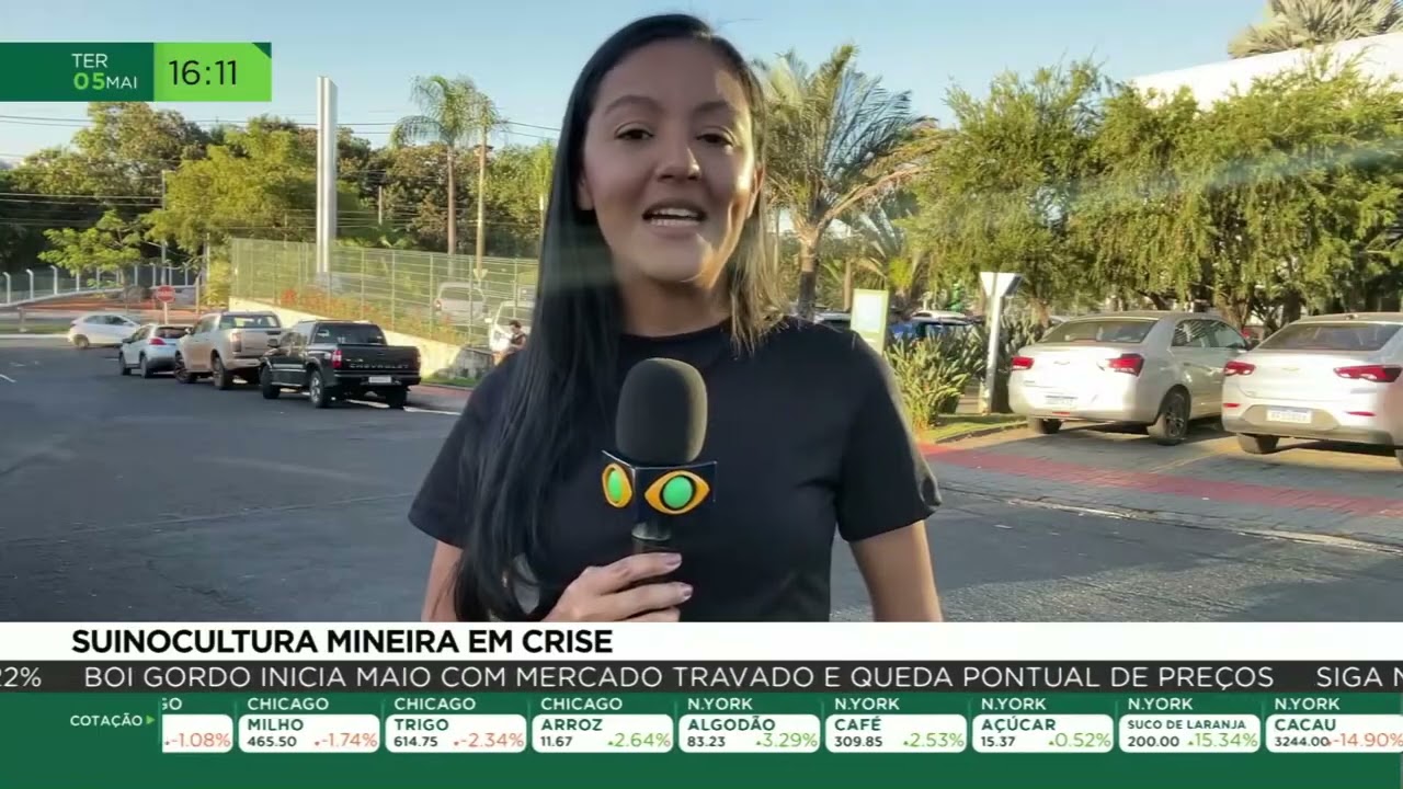 Suinocultura mineira em crise