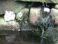 Guided Relaxation and Running Water Guided Relaxation and Running Water