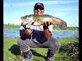 Tra�r�o pego na Frog Line Tunada - M�rcio Curi MCNETCHANNEL.