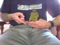 Teaco-high-5-and-sha